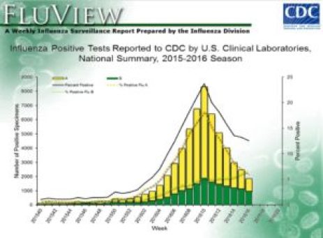 CDC Influenza Graph May 2016